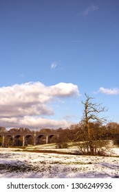 Bridge And Tree At The Local Park In Wilmslow, Cheshire.