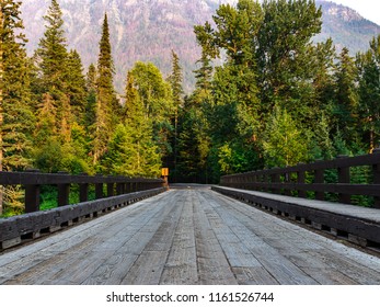 bridge to trees