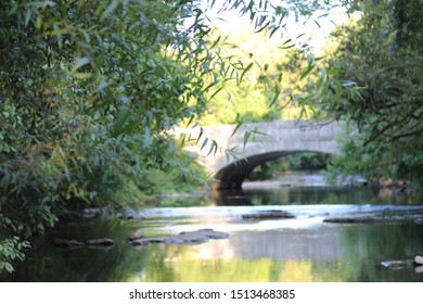 Bridge View At Cherokee Park