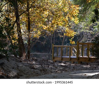 Bridged At Sam Houston State Park