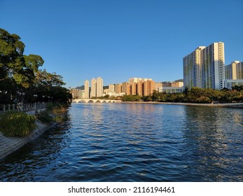 Bridges Around Shing Mun River