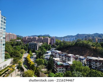 Bridges Around Shing Mun River