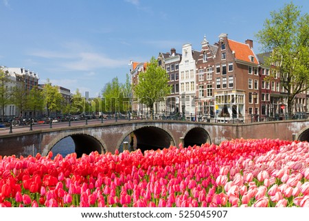 bridges of canal ring at sunny spring day with tulips, Amsterdam, Netherlands