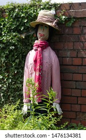 Bridgnorth, Shropshire / UK - July 20 2019: A Scarecrow In A Vegetable Plot In The Bridgnorth Public Gardens