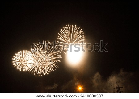 brigh tmulti-colored fireworks in the night sky