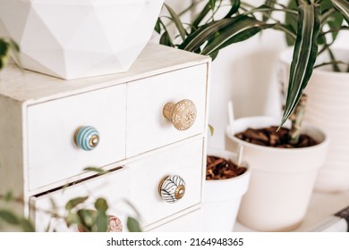 Bright Authentic Home Interior.A White Chest And Indoor Plants In White Pots.Home Gardening,urban Jungle,biophilic Design.Selective Focus.