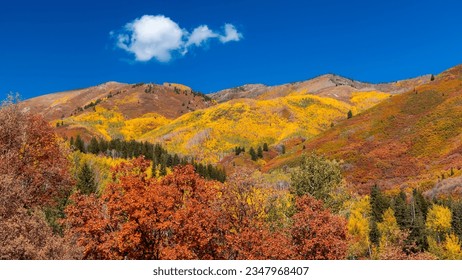 Bright autumn foliage at Wasatch mountain state park in Utah. - Powered by Shutterstock