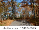 Bright autumn landscape in scenic Chequamegon National Forest, north central Wisconsin.