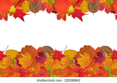 13,067 Autumn leaves corners Images, Stock Photos & Vectors | Shutterstock