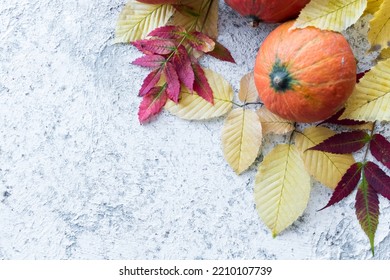 Bright Autumn Leaves And Pumpkins On Grey Background With Copy Space For Text. Beautiful Autumn Frame. Mockup For Seasonal Offers And Holiday Post Card. Top View.