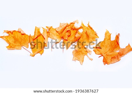 Image, Stock Photo dried leaf in autumn