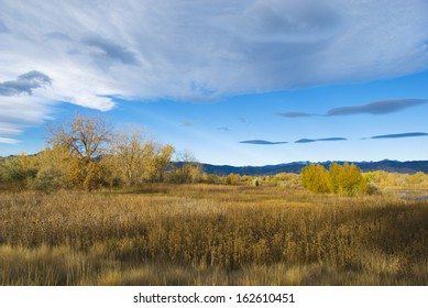 Bright Autumn Scene In The Early Morning In A Wetlands Refuge Area On The Colorado Prairie