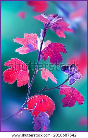 Similar – Image, Stock Photo Clematis | tendril to the sky.