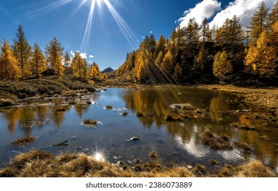 Bright autumn sun over a mountain lake. Autumn lake view. Lake in autumn forest. Autumn forest lake in sunny day - Powered by Shutterstock