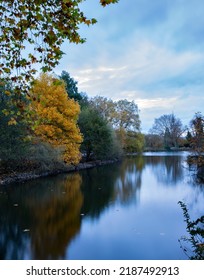 Bright Autumn Trees Reflected In The Lake In The Park