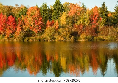 Bright Autumn Trees With Their Reflection In Water