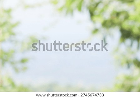 Bright background of beatiful sky and tree view