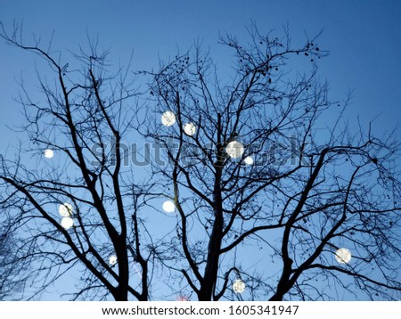 Similar – light chain Winter Tree