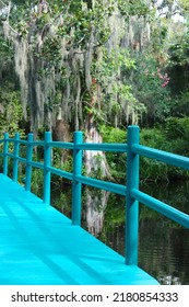 Bright Blue Bridge In Southern Swamp