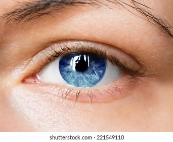 Bright Blue Eye Close Up