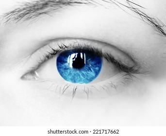 Bright Blue Eye Close Up