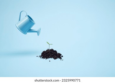 Bright blue garden watering can hover over green germinating sprout isolated on the bright solid fond plain bright blue background