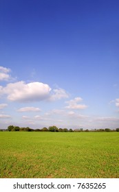 Bright blue sky landscape with a tree line beyond a green field.