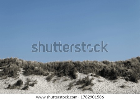 Similar – Image, Stock Photo day at the sea #4 Nature