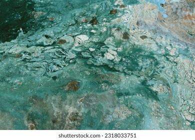 Bright blue-green algae (cyanobacteria) on water and beach sand. Close-up of a harmful algal blooms and decay. Abstract background with green toxic texture. - Powered by Shutterstock