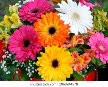 bright bouquet of colorful gerberas, gypsophila, alstroemeria, greenery, close-up with a blurred background as a natural background for the designer