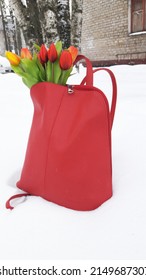 Bright bouquet of red tulips left in a backpack on the snow. Spring flowers.