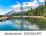 Bright Chamomile flowers on the banks of Lake Minnewanka with Cascade mountain in the background in the Canada Rockies