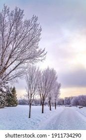 Bright Cloudy Sky Over A Winter Park Path