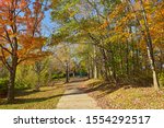 Bright color of trees and leaves in fall in suburban Falls Church, Virginia. Autumn landscape with fallen leaves and deciduous trees along footpath in a park. 