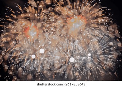 Bright Colored Fireworks Exploding in the Night Sky with Vibrant Sparks