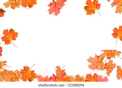 Border Frame Colorful Autumn Leaves Isolated Stock Photo 1153651942 ...