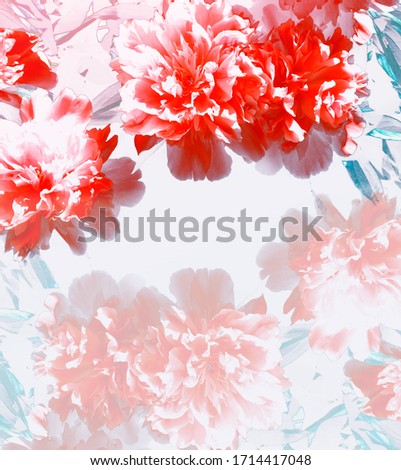 Similar – Beautiful pink flower frame