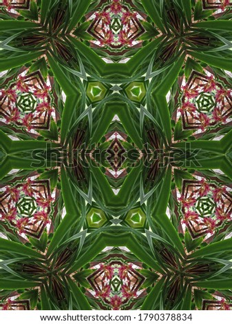  Bright Colorful Pattern  Created using Beautiful Orchid Flowers 
