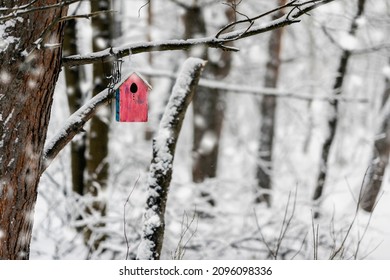 Bright colorful red wooden bird feeder close-up covered with snow, winter day in park. Natural winter landscape, copy space