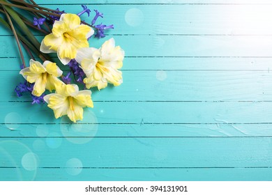 Bright colorful yellow and blue spring flowers in ray of light on green  painted wooden planks. Selective focus. Place for text. 