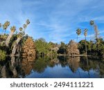 Bright Colors at Baldwin Lake at the Los Angeles County Arboretum and Botanic Garden in Pasadena, California