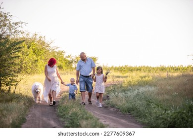 Bright diversity family walks on the paths in field with Samoyed dog. Traveling with pets. Parents hold hands of children, run through into the sunset. Little boy girl picking wildflowers for mother - Shutterstock ID 2277609367