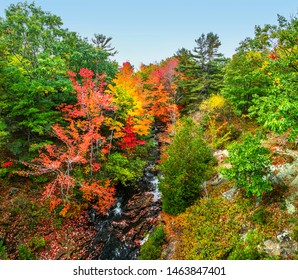 Bright Fall Foliage Over Stream In Acadia National Park