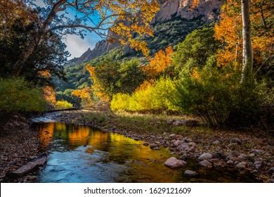 Bright Fall foliage reflects in the waters of Cave Creek. Cave Creek Canyon in the Chiricahua Mountains near Portal, Arizona.
