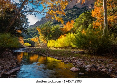 Bright Fall Foliage Reflects In The Waters Of Cave Creek. Cave Creek Canyon In The Chiricahua Mountains Near Portal, Arizona.