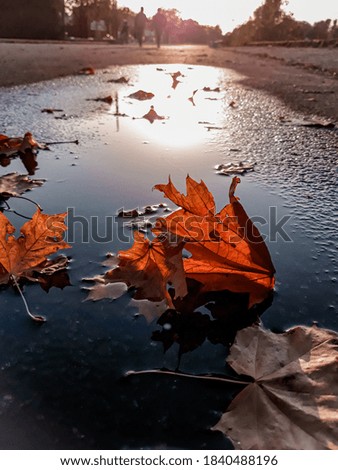 Similar – side by side Water Autumn