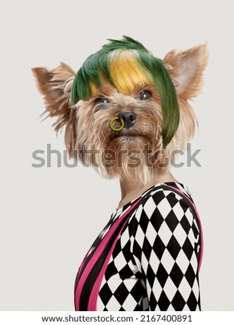 Bright fashion. Fantastical excited woman with dog's head looking surprised at camera isolated on grey background. Comparison of art, surrealism, beauty and creativity, ad. Queer style.
