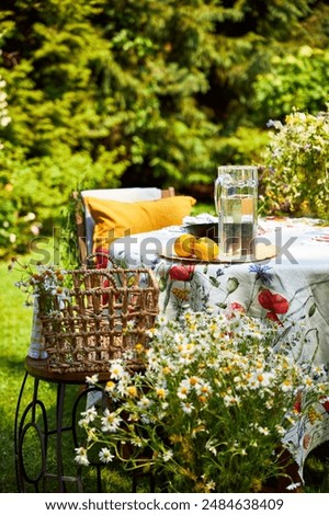 Similar – Image, Stock Photo warming | summer garden