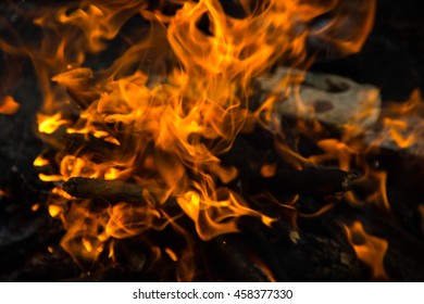 Bright fire bonfire in the spring forest.