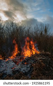 bright fire with trees in background